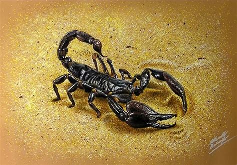 Unleashing the Beast: Breaking Down Curze Hade Scorpion's Fighting Style